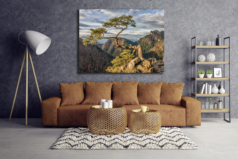 TEMPERED GLASS PAINTING 47 x 35.5"